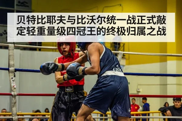 贝特比耶夫与比沃尔统一战正式敲定轻重量级四冠王的终极归属之战